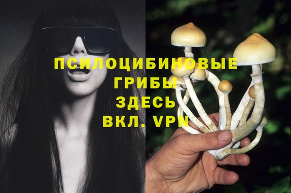 МДПВ Россошь