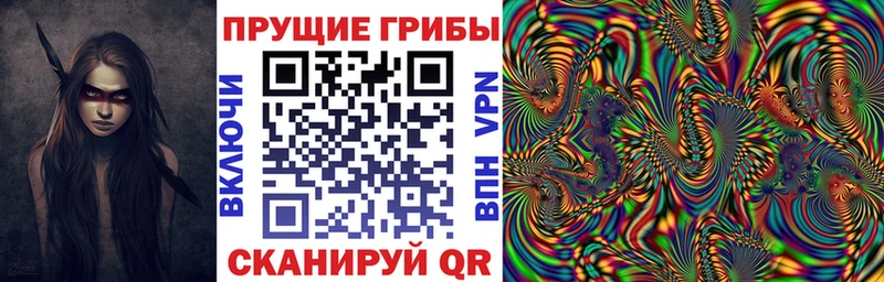 купить сайты Ишим Галлюциногенные грибы GOLDEN TEACHER